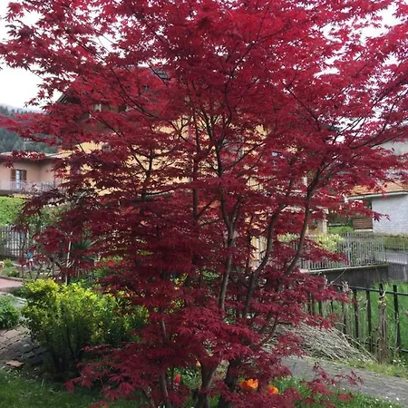 Romeo - Acero Rosso Gasthuis 3*