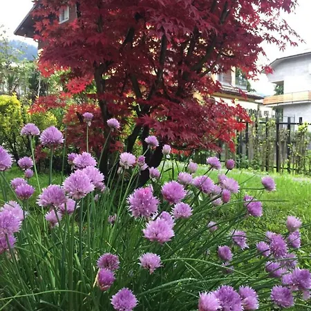 Romeo - Acero Rosso Rovetta